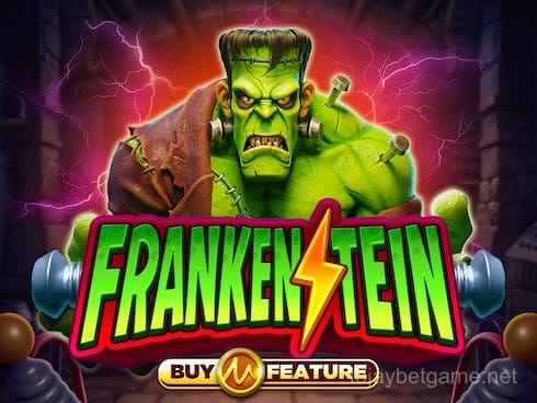 فرانکن اسٹین