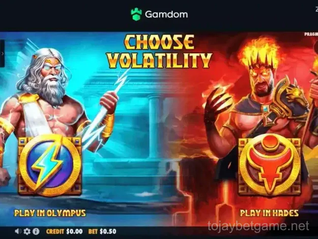 tojay Bet App Screenshot - Casino Slots